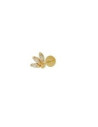 Cartilage